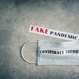 Where we go one, we go all: Conspiracy Theories as a threat to democracy